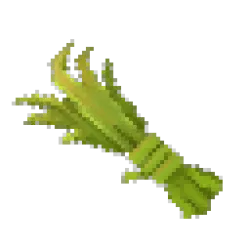 Fiber Plan